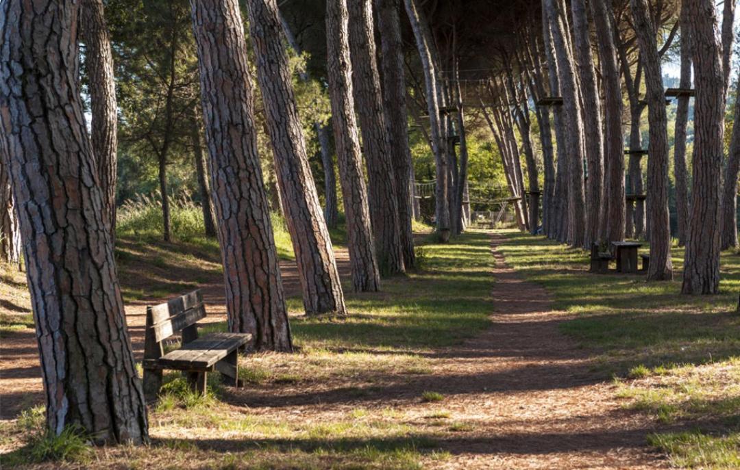 Alloggio Turistico Puccini Περούτζια Εξωτερικό φωτογραφία